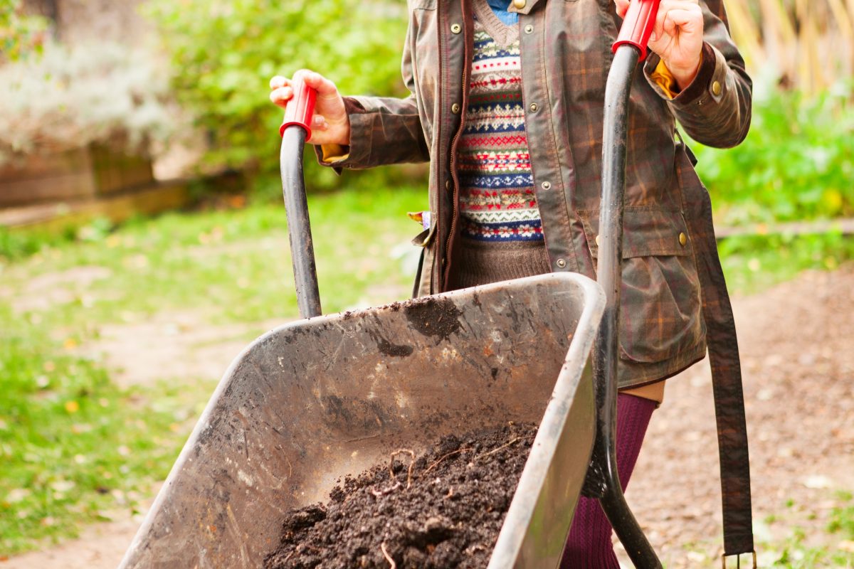 Women emptying a wheelbarrow full of mulch in the garden